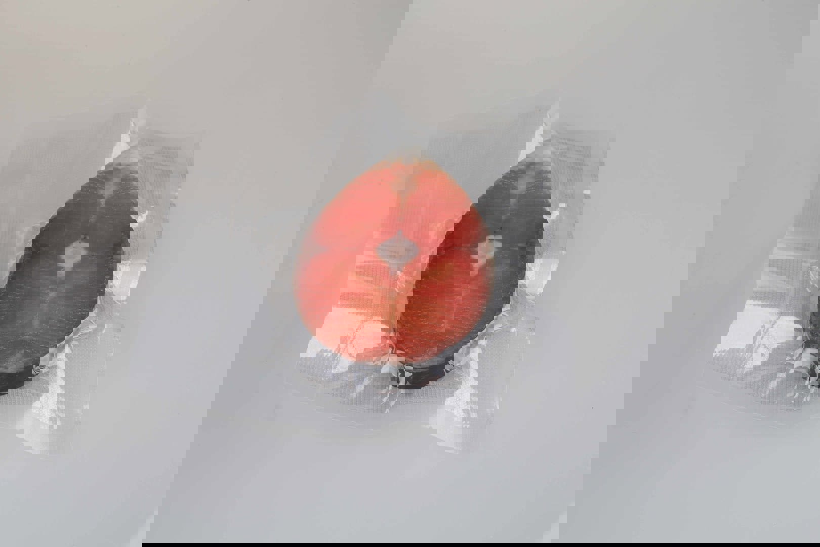 双室真空包装机