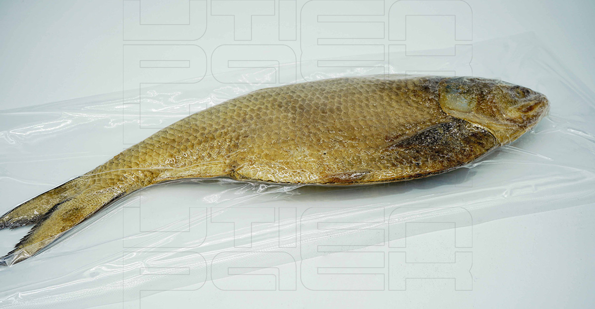 大鱼干热成型真空包装