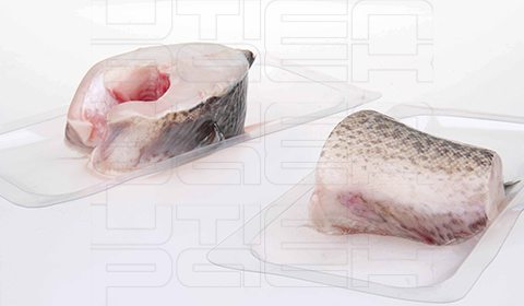鲜切鱼段贴体包装解决方案