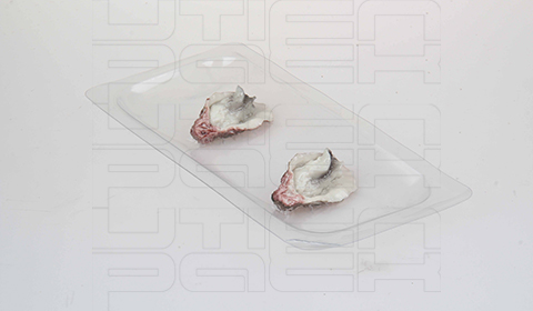 生蚝高贴体包装解决方案