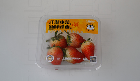 草莓预制盒气调包装解决方案